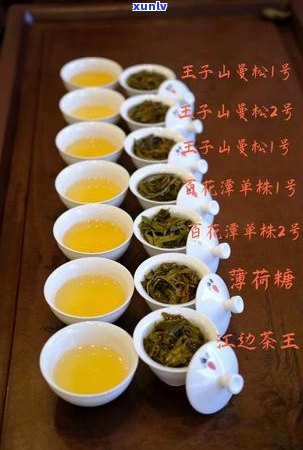 易武古茶山单株普洱：品种、产地、年份、口感、价值等全方位解析