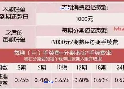 信用卡逾期还款判断技巧：如何确定是否超过最后期限？