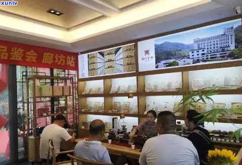 景市聘号茶业：品质茶叶的领导者，为您带来一站式茶叶体验