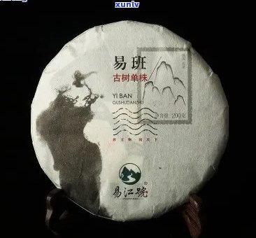 易号普洱茶怎么样