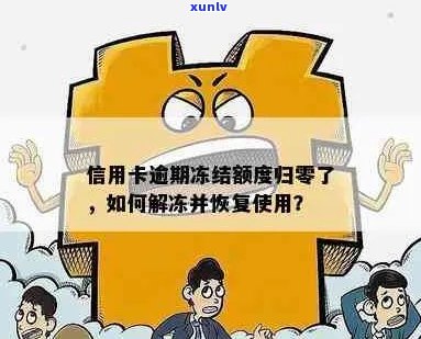 信用卡逾期冻结后，如何解冻并恢复信用？