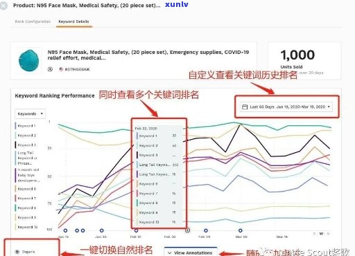 普洱茶七子饼的保存期限：何时品尝？