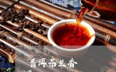 香与兰香的普洱茶