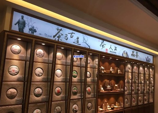 普洱茶文化体验：灯箱展示的历、 *** 与品鉴