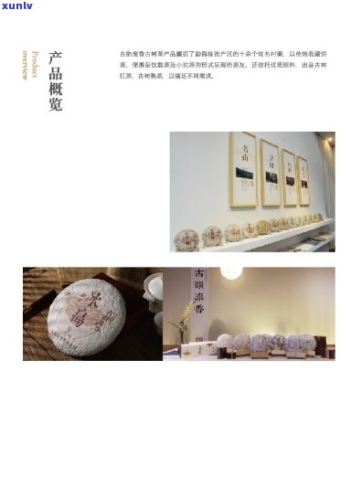 普洱茶文化体验：灯箱展示的历、 *** 与品鉴