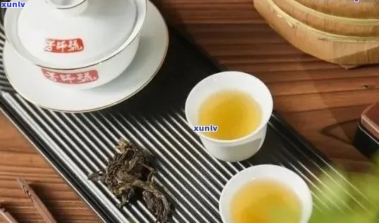 十年普洱茶品鉴指南：如何正确冲泡与品尝，让每一杯都有口感？