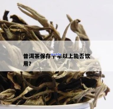 普洱茶能保存十年吗