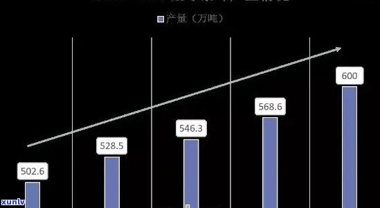 小白菜普洱茶价格走势分析：行业动态、市场行情及未来趋势预测