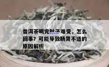 普洱茶对不同体质人群的消化系统影响及如何缓解肚子疼问题