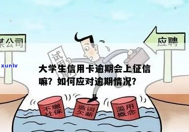 大学生信用卡逾期：是否会影响信用报告以及如何避免？