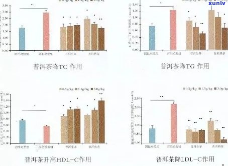 普洱茶的健影响：心脏病风险与饮用量的关系探讨