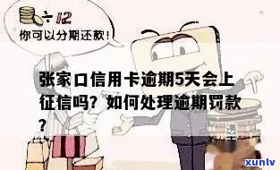 信用卡逾期：黄攀攀的警示与应对策略