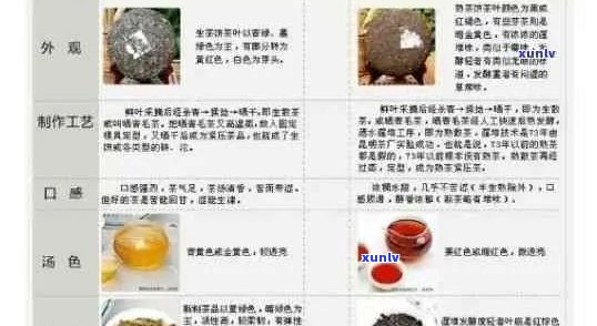 安普洱茶使用体验全面解析：品质、口感、功效一网打尽！