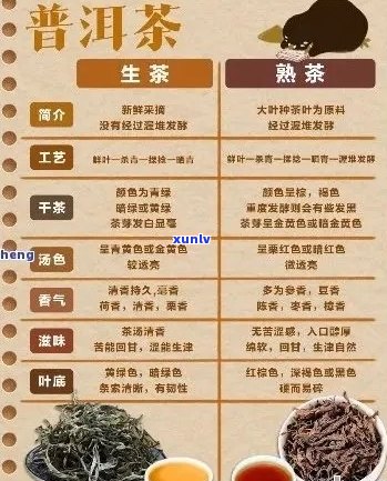 安普洱茶使用体验全面解析：品质、口感、功效一网打尽！