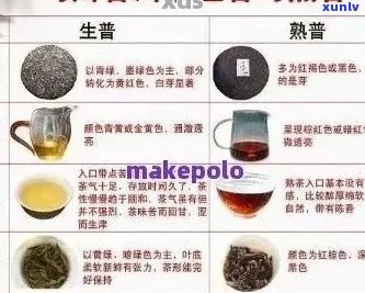 安普洱茶使用体验全面解析：品质、口感、功效一网打尽！