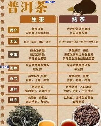 安普洱茶使用体验全面解析：品质、口感、功效一网打尽！