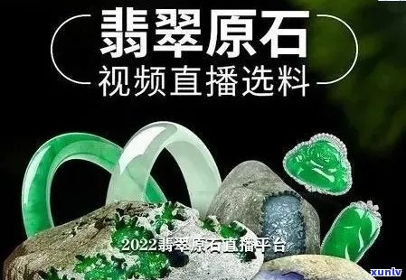 翡翠首播盛况如何？观众反响如何？快来一探究竟！