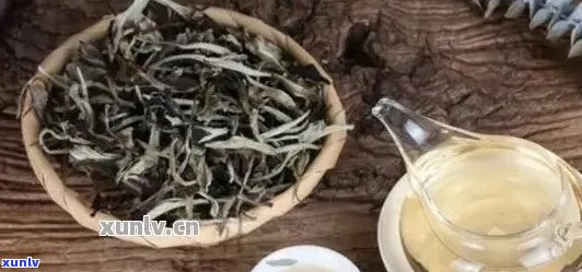 普洱茶能染白头发吗