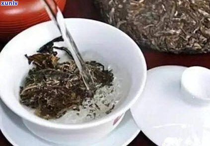 普洱茶，切忌不懂装懂：如何挑选与品鉴好茶？