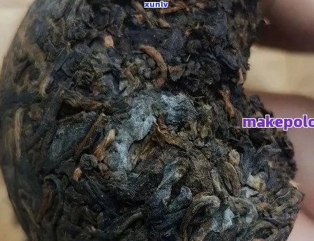 普洱茶外面有一层霉还能喝吗？有吗？普洱茶外面有霉点还能喝吗？