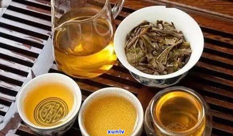 普洱茶冰饮：是否可行？