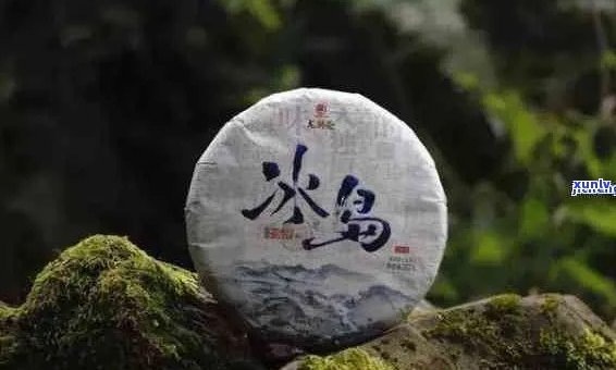 谷岚风普洱茶：品质越，品鉴享受，茶友必备佳品。