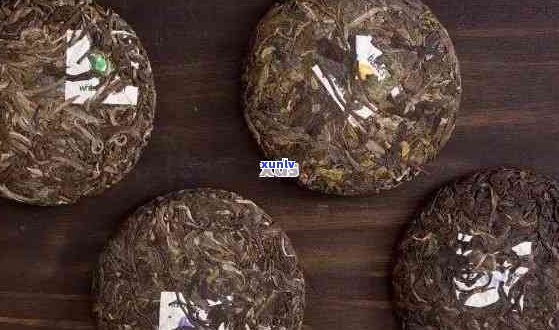 六年的普洱茶饼是否仍然适宜饮用及其价值