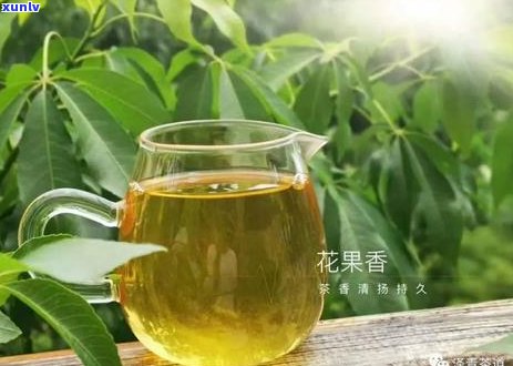 6年普洱茶饼能喝吗