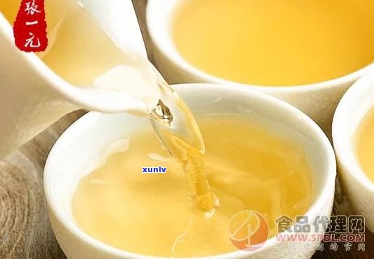 如何评价陈一元茶叶的品质？了解陈一元茶叶的特点与选购建议