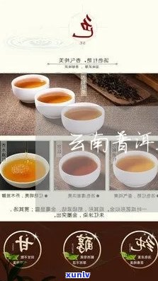 普洱茶陈云号七彩雀、茶砖、茶饼价格及相关信息