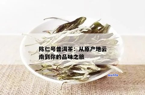 广号陈壁号普洱茶：源自古树，匠心独运，品鉴云南醇香之美