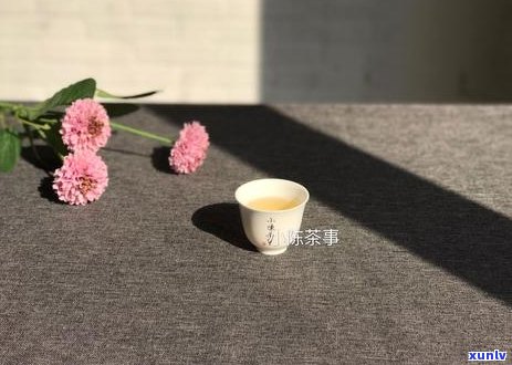 普洱茶饼的多种吃法：适合搭配哪些食物？如何正确品尝普洱茶饼？