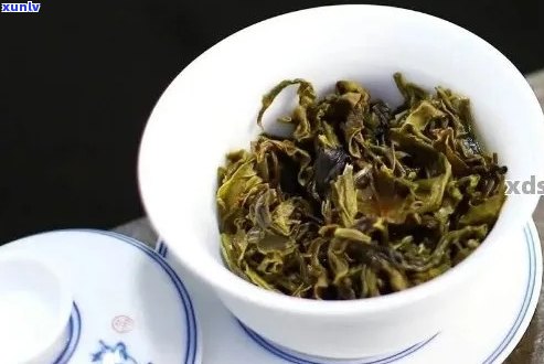 兰香普洱茶中哪款更受欢迎？探索各种茶叶的特点与口感