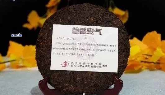 兰香普洱茶兰香贵气