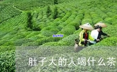 大肚子茶的适用人群、功效与注意事项：一篇全面解答