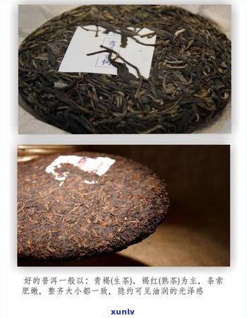 普洱茶梗与叶的选择：哪个更优？探讨两者的优缺点及适用场景