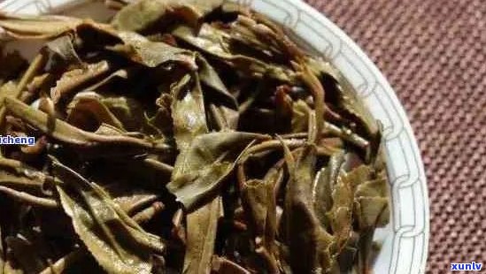 普洱茶叶与梗的比较：哪个更适合您的口味？