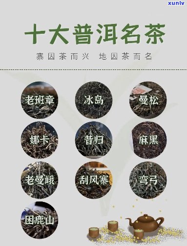 普洱茶产品名称大全