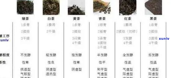 仲景茶价格及种类全解析：如何挑选最适合您的茶品？