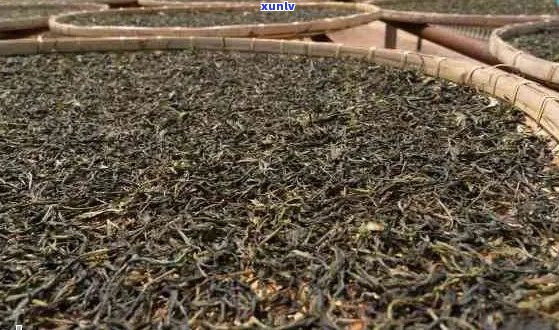 云南昆明普洱茶厂：探索高品质普洱茶的 *** 工艺与品种选择