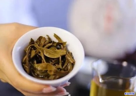 普洱茶中的糯香叶作用解析：它是否影响茶的口感？如何正确添加以提升品质？