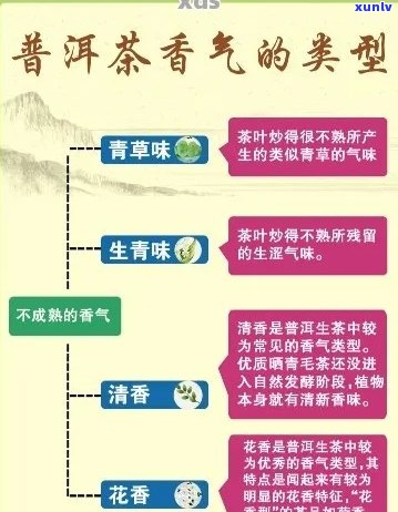 新糯香普洱茶的 *** 过程及可能添加的成分全面解析