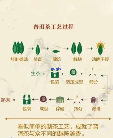 新糯香普洱茶的 *** 过程及可能添加的成分全面解析