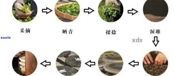 糯香普洱茶的 *** 过程及原料解析：是否加入香精？