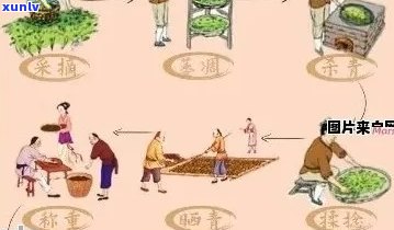 糯香普洱茶的 *** 过程及原料解析：是否加入香精？