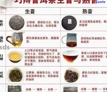 大益生普洱茶哪几款喝和最实用：探索系列和口感