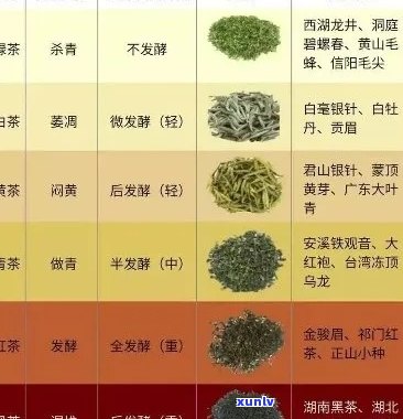 王德传茶各类茶品口感对比：哪款茶最适合您？