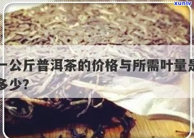 普洱茶一公斤多少钱-普洱茶一公斤多少钱