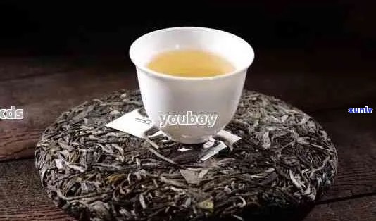 普洱茶价格分析：1000元一斤的普洱茶是否值得购买？