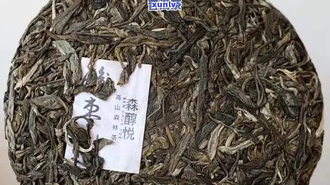 九年生普洱茶的品质与陈化：是否需要冷藏？